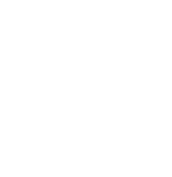Delphi logo white png 2-1