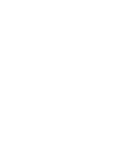 Delphi logo white png 2